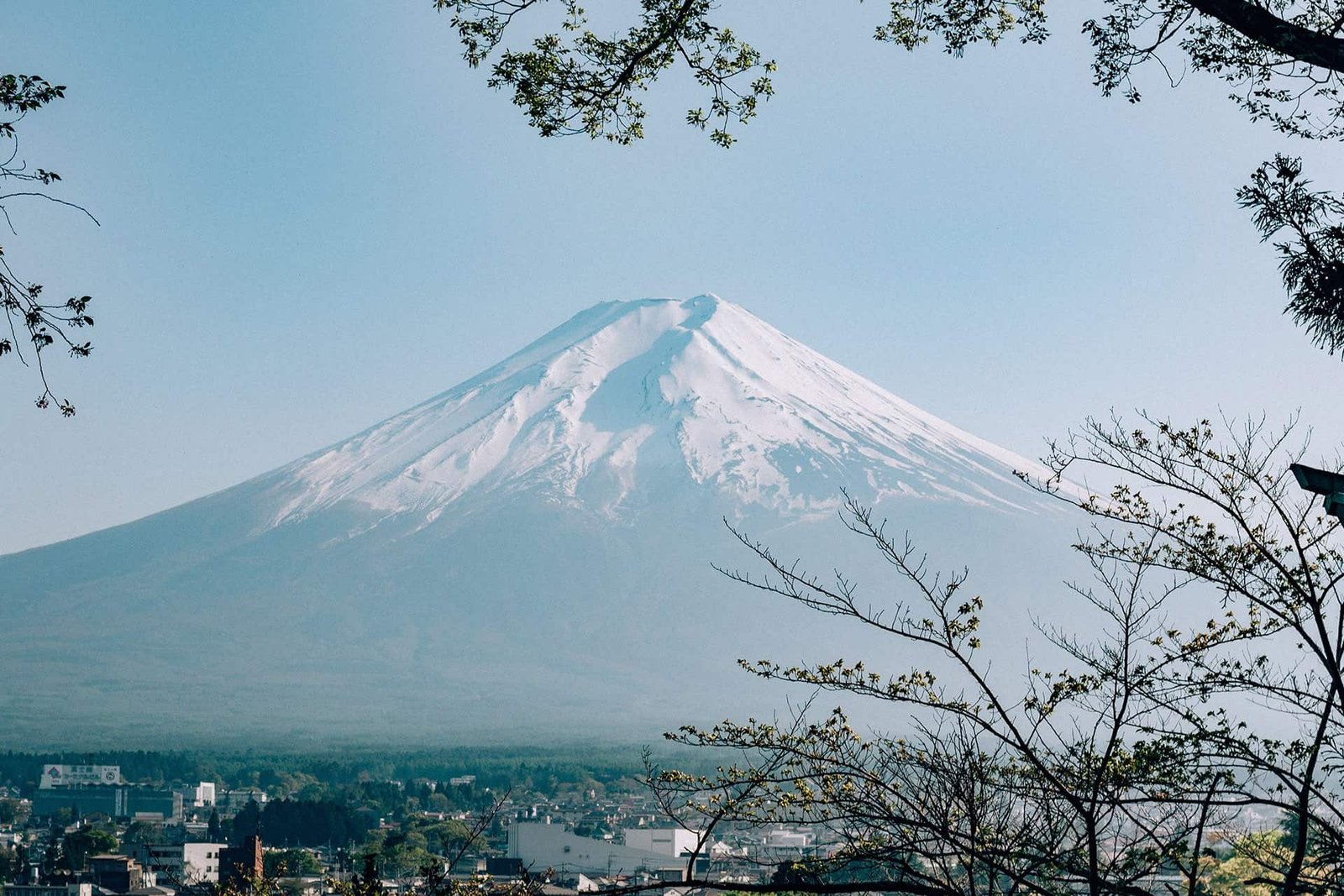 filiz elaerts J C3 JpJMms unsplash